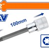 WADFOW ΚΑΡΥΔΑΚΙ TORX 1/2